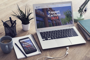 Rapport-activite-2018-universite-federale-toulouse_1.jpg